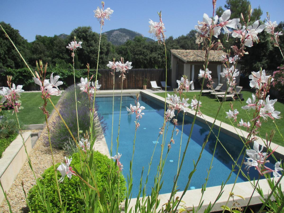 La bergerie de Nano Bed & Breakfast Beaumes-de-Venise Exterior foto